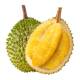 Shiboshi D197 Musang King Durian