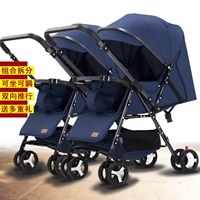 Elite Edition Раскрытие информации Twin Twin Nipsen Blue