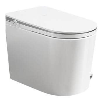 Light smart toilet with water tank foam shield semi-automatic