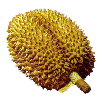 Imported thai golden pillow durian a + fresh fruit 1 whole box sf express imported slap meat in season