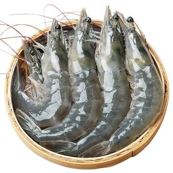 Prawns fresh extra large prawns 2030 salted frozen shrimps