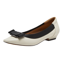 Bestu 2024 spring shopping mall new comfortable sheepskin commuter pointed toe thick heel shallow mouth womens single shoes BF005AQ4