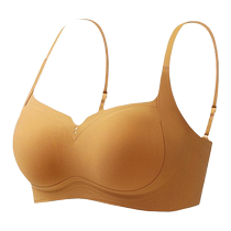 Catman underwear for women push up small breasts make them look bigger shrink secondary breasts prevent sagging seamless lift fixed cup bra thin style