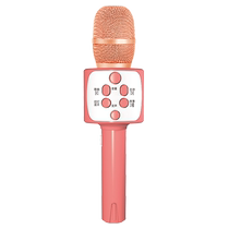 Childrens small microphone baby toy karaoke singing machine audio integrated microphone host June 1st gift