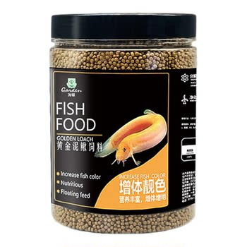 Loach, eel, brontosaurus, ornamental fish high protein feed