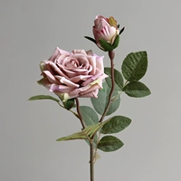 1 ветка Effie Rose [кремово-фиолетовый]
