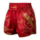 HAYABUSA Falcon Muay Thai shorts professional training for men and women