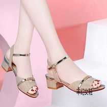 High-end (Spring and New Year) medium-heeled sandals for women summer new womens shoes fish-mouth thick heels high-heeled shoes one-word buckle straps