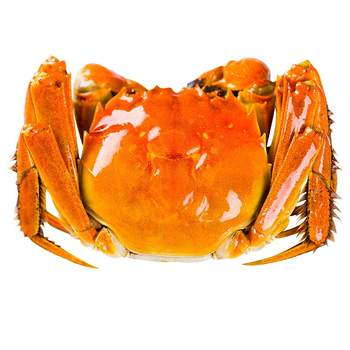 10 live crabs, hairy crabs, fresh crabs