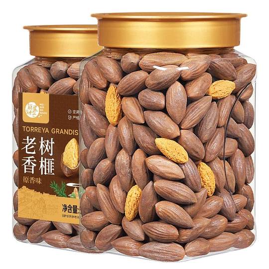 Chaque fois que fruit Zhuji Fengqiao torreya 500g en conserve