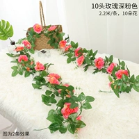 10 голов розового глубокого розового