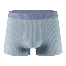 Nanjiren mens underwear boys pure cotton boxer briefs summer sports breathable boxer shorts 2024 new mens style