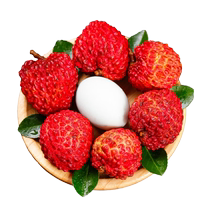 Shunfeng Hainan white sugar can lychee lychee fresh now off 5 catties Big fruits When season benefith h