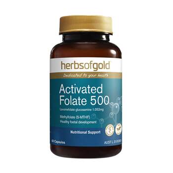 Herbsofgold active folic acid, ດູດຊຶມດີສໍາລັບຄົນອາຍຸກາງແລະຜູ້ສູງອາຍຸ, ຫຼຸດລົງ homocysteine, ອາຊິດໂຟລິກ 60 ແຄບຊູນແລະ likang