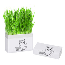 cat grass potted ເມັດຫຍ້າ fur ໄດ້ຮັບການປູກ, ເມັດ wheat kitten, ອາຫານຫວ່າງ cat ປອດສານພິດ, ໂພຊະນາການສະອາດ