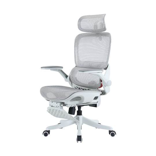 Luo Yonghao recommends Xihao B100Pro chair