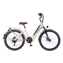Phoenix D1 spoked cutter wheel) lithium electric bicycle new national standard lithium electric moped for men and women battery bicycle