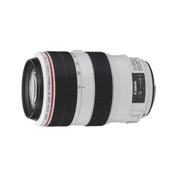 Canon EF 70-300mm f4-5.6L IS USM Fat White Telephoto Red Circle Anti-shake Lens Telephoto Moon