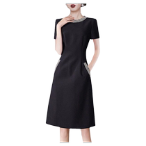 Light luxury black short-sleeved dress 2024 new summer womens fashionable and age-reducing round neck skirt party