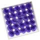 【Z-31 Deep Purple】 25