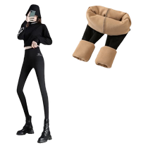 Velvet Shark Pants Womens Outerwear Thin Velvet High Waist Barbie Yoga Pants Autumn and Winter Thickened Warm Shearling Leggings