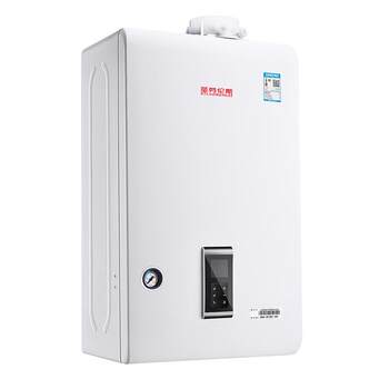 Dual-purpose gas wall-mounted boiler st. lawrence