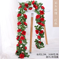 16 голов Rose Red