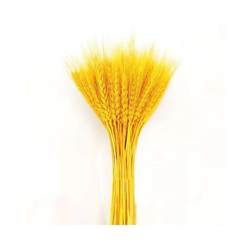 Gold wheat ears dried flowers barley bouquet decoration living room golden wheat gift vase simulation flower decoration opening