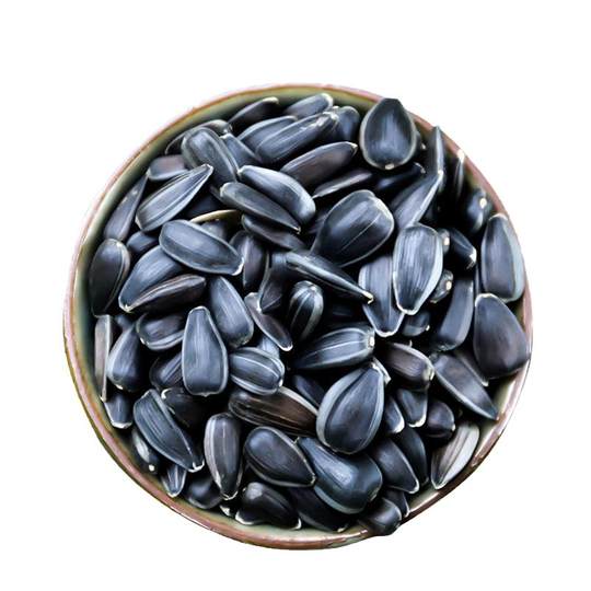 Deeply pamper the seasonal oil sunflower with plump grains