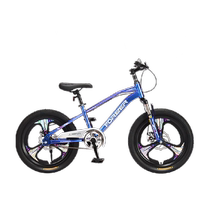 Permanent Children Mountain Bike CUHK Boy Boy Girl Bike Teenage Student New Bike 20 Inch