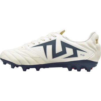 Tianlang football tlss special wing tactician master 192 glint kangaroo leather mg 2e wide last last shoes