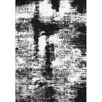 Waterproof and anti-fouling diatom silk living room bedroom carpet black and white abstract cloakroom high-end Italian ink style coffee table blanket