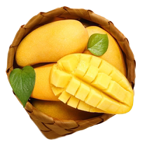 10 pounds of fresh golden mangoes ripe on the tree seasonal green skin full box sweetheart extra large gift box