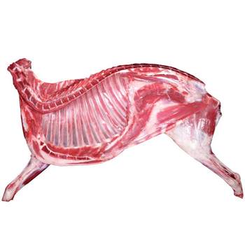 Freshly killed half a sheep and 10 pounds of mutton