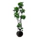 Simulated green plant duck foot wood high-end light luxury potted plant