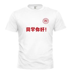 Customized t-shirt cultural advertising shirt high-end quality pure cotton class reunion picture custom diy printing logo