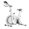 Hanma smart self-propelled electric bicycle for home use