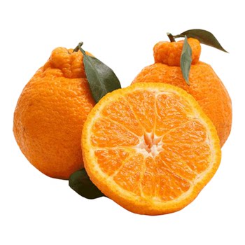 Sichuan shiranui chou tang chou tang 5 jin jin is equal to 0.5 kilograms 9 jin jin is equal to 0.5 kilograms