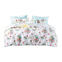 Fuanna produces Xinerle single-piece quilt cover small fresh brushed mattress cover ins style dormitory bed sheet full polyester