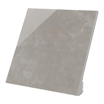 Dongpeng tiles living room floor tiles tiles floor tiles 800x800 modern simple non-slip wear-resistant Foshan brand tiles