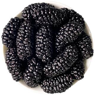 新疆黑桑葚干官方旗舰店黑桑椹特产级泡茶新鲜大颗粒干果500g新货