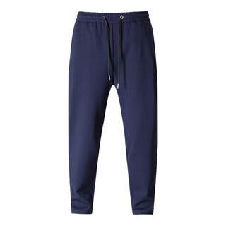 哈伦裤男士宽松内抽绳流行小脚藏蓝色萝卜裤弹力运动老爹休闲裤男