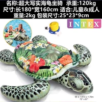 57555 Цветочная реалистичная черепаха