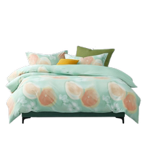 Mercury Home Textiles Cotton Antibacterial Printed Quilt Cover Single Piece Cotton Quilt Cover Student Dormitory Quilt Cover