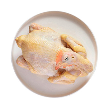 Yunling freshly killed farmhouse free range old wannan hens