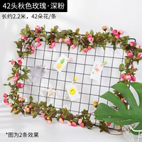 Осень роза 42 головы глубоко порошок