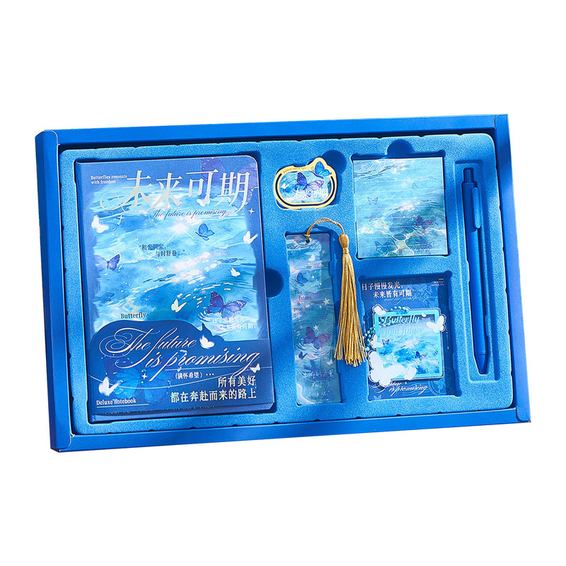 Beautiful butterfly koi gift box for students