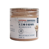 Compagnon de poudre de spores) Sedum Sedum et germes de Ganoderma poudre superfine 20g boîte dessence officielle de Ganoderma