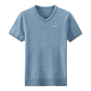 恒源祥集团彩羊秋冬季短袖羊毛衫男V领加厚针织羊绒衫男半袖毛衣