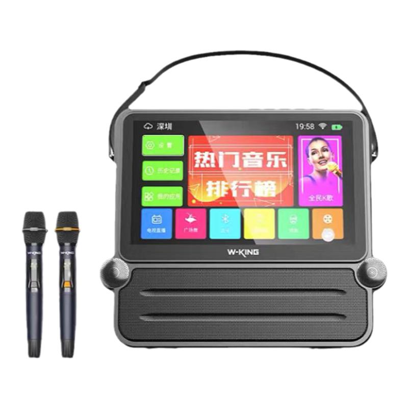 Portable karaoke speaker video player with display